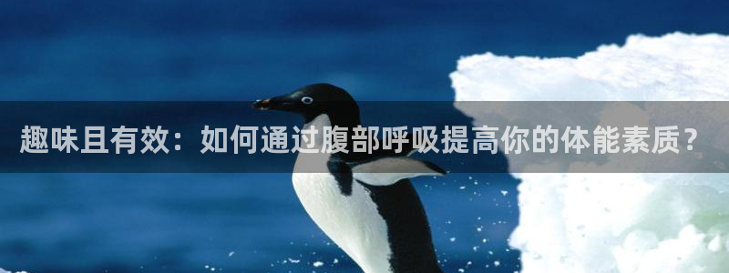 中欧体育官网
