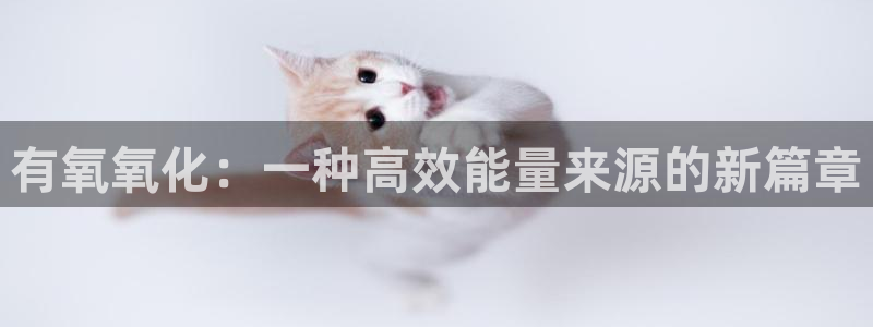 kok中欧体育登录