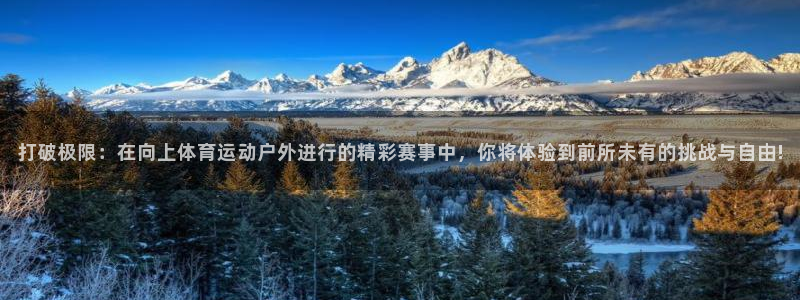 中欧体育下载