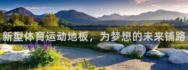 中欧体育app