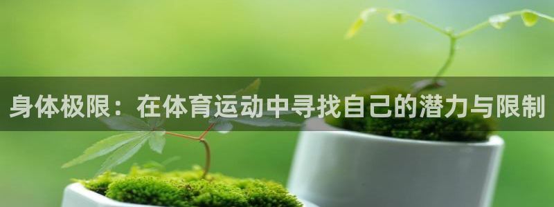 中欧体育下载
