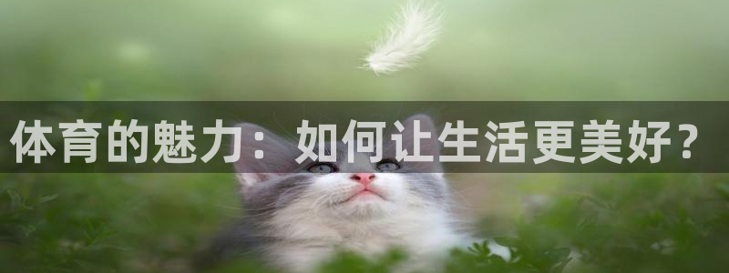 中欧体育网页版