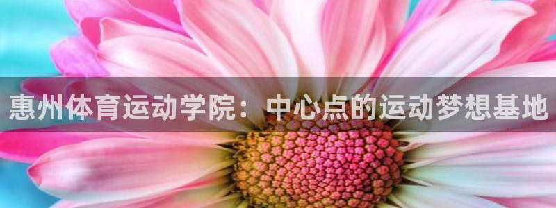 中欧体育kok