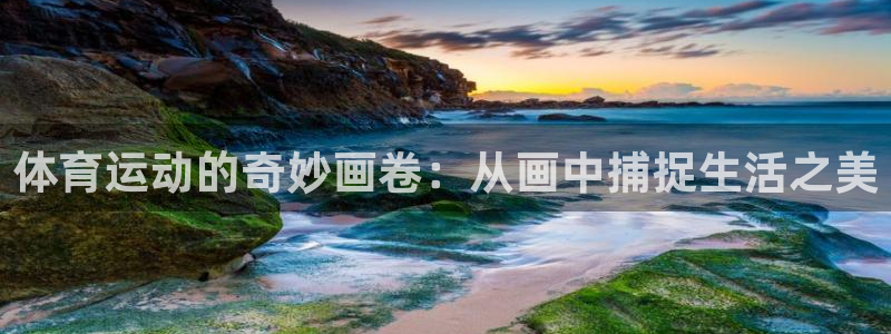 中欧体育在线