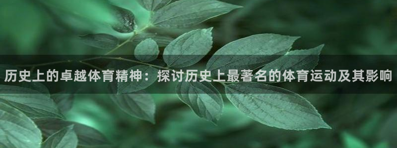 中欧体育客服：历史上的卓越体育精神：探讨历史上最著名的体育运动及其影响