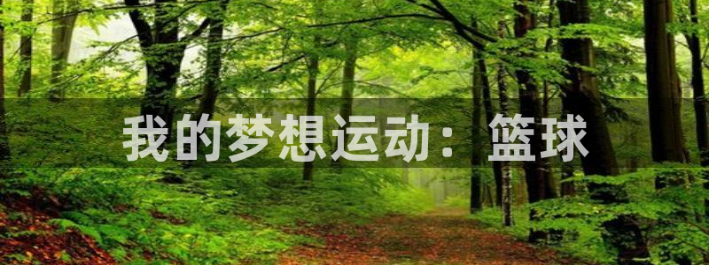 kok新版中欧体育：我的梦想运动：篮球