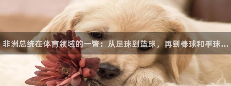 中欧体育(zoty)官网