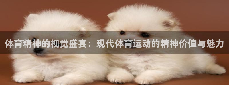 zoty中欧体育