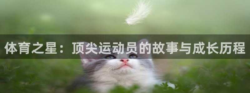 zoty中欧体育