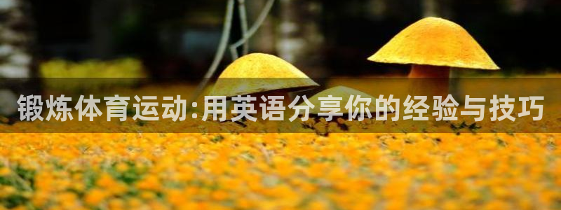 中欧体育集团
