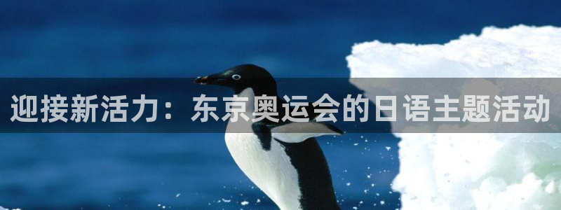 中欧体育集团