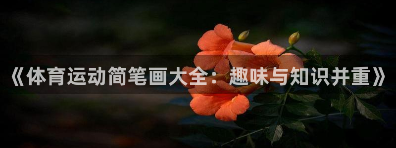 中欧体育kok：《体育运动简笔画大全：趣味与知识并重》