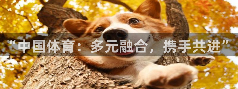 中欧体育：“中国体育：多元融合，携手共进”